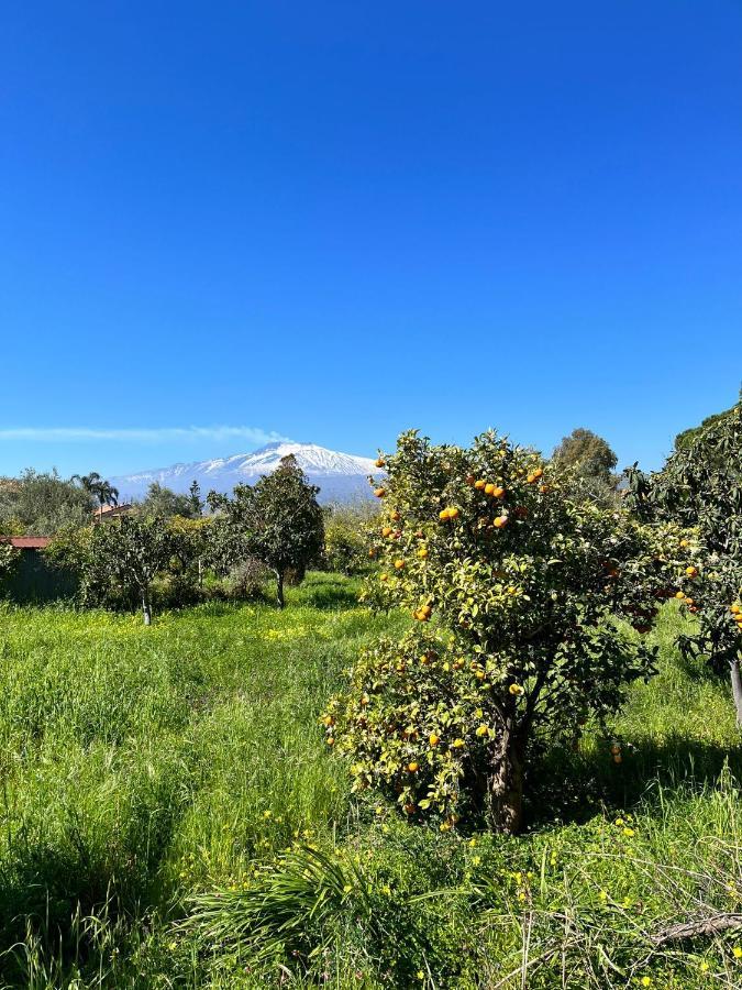 Casa Dei Fiori Con La Vista A Taormina Lejlighed Schiso Eksteriør billede