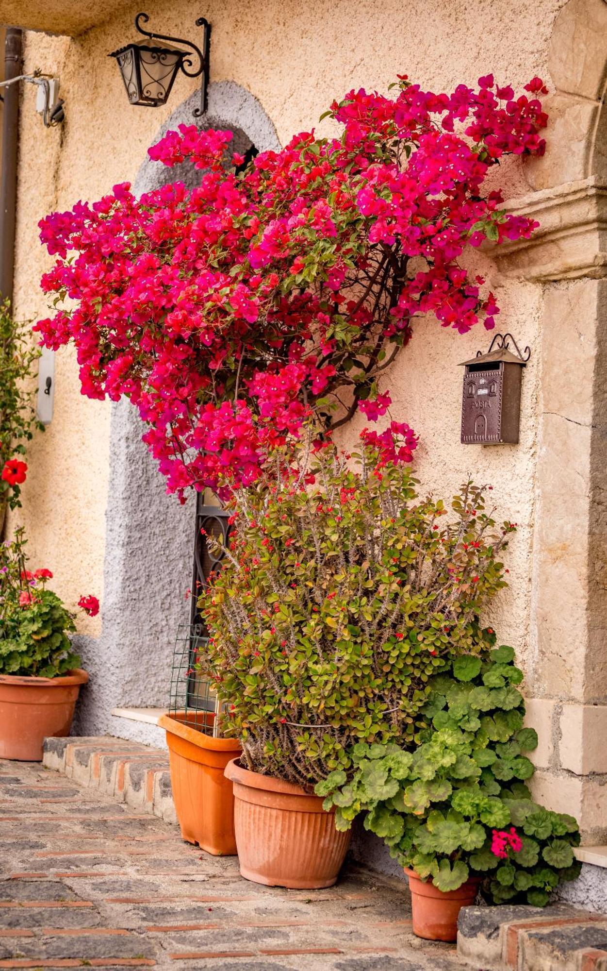 Casa Dei Fiori Con La Vista A Taormina Lejlighed Schiso Eksteriør billede